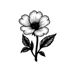 Elegant monochrome floral illustration featuring a stylized blooming flower