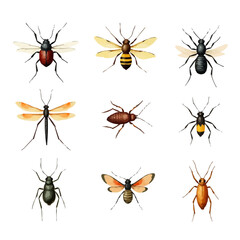 set of insects