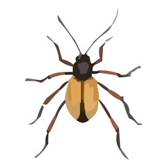 vector illustration of a bug