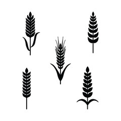 Wheat Plant Silhouette Vector Set, Agricultural Icons and Grain Crop Illustrations.