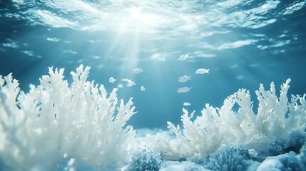 Bleached Coral Reef with Sunlit Ocean.