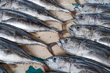 Fresh fish in street market. Fresh raw of fish in the market of Negombo, Sri Lanka, Asia	