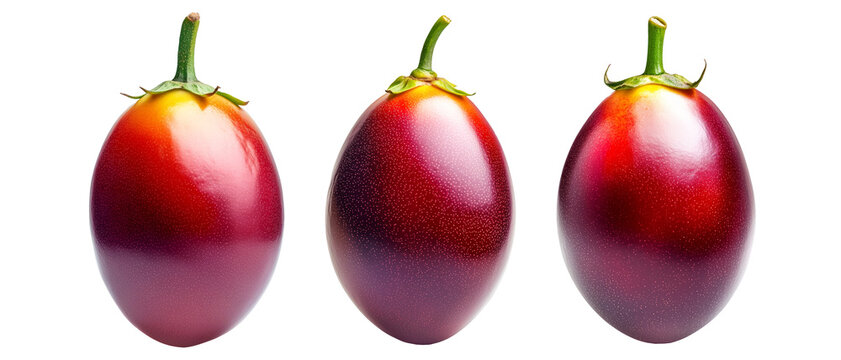 Set of ripe red tamarillo or pitomba with green stem, isolated on white transparent background, showcasing its glossy texture and vibrant color
