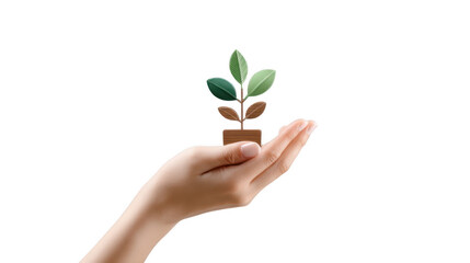 A Helping Hand Protecting a Young Plant Growth Representing Environmental Care and Sustainability