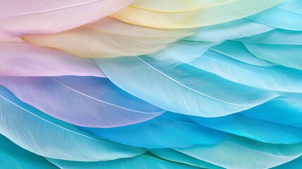 Soft Colorful Feathers in a Gentle Gradient of Pastel Shades