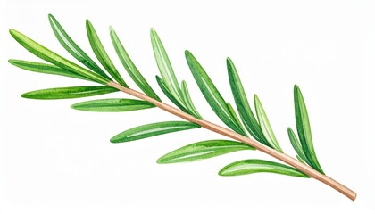 Fototapeta premium Closeup of vibrant green leaves adorn a tree branch in spring's embrace lush