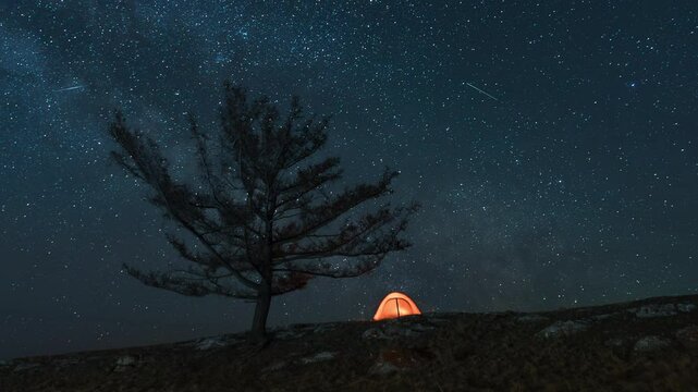 Orange tent on the slope near alone tree under moving Milky way at night