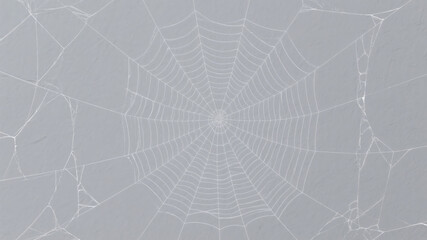 Obraz premium Delicate spiderweb silhouette against a soft gray background with textured surface details