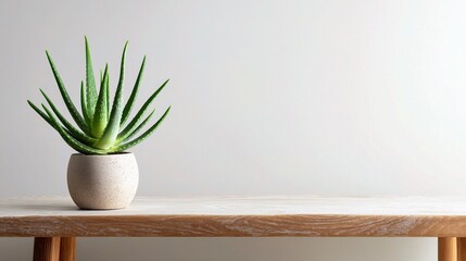 Aloe Vera Plant in Minimalist Clean Setting on Wooden Table