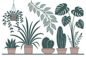 47 house plant, potted plants, indoor houseplants, succulent plants, hanging plants, cacti, ferns, herbs, vines, flower pots, terracotta pots, ceramic pots, plant collection, botanical illustration, p