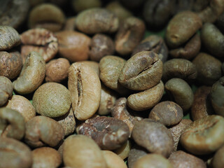 Raw coffee beans, dried and peeled