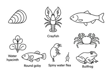 Aquatic life silhouette icons set – marine, freshwater, ocean and river creatures