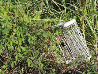 Disposing of waste improperly is an environmental pollutant.