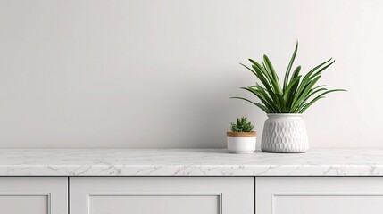Clean and Organized Kitchen Counter with Potted Plants and Modern Design