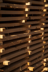 Close-up view of stacked timber boards drying in warm evening sunlight