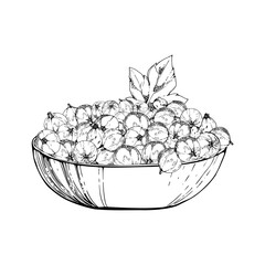 Currant gooseberry leaves in glass bowl, hand drawn in vector ink, ripe picked garden berry harvest, casseille jostaberry. Isolated illustration. Food blogs, cookbook, dessert menu, farmers market