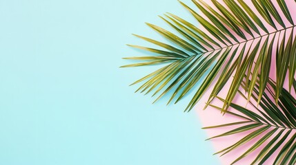 Obraz premium Palm leaf on a pastel pink and blue background