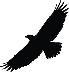 Flying Eagle Silhouette Vector – Majestic Bird in Flight Illustration