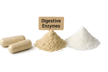Capsules and powders labeled as digestive enzymes, indicating their use for digestive health and support. Concept Digestive Enzymes, Gut Health Support, Nutritional Supplements, Enzyme Benefits