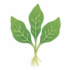 Fototapeta premium Baby Arugula Illustration in Flat Design Style for Health Blogs, Nutritional Education, Cooking Websites, and Organic Food Content