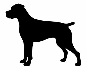  Photorealistic 3D Dog Silhouette with Muscular Detail