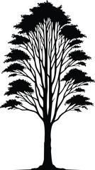 Obraz premium Single Ash Tree Graphic