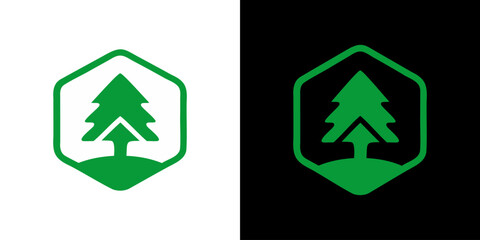 Obraz premium Pine Tree Badge Logo, Nature Icon in Green and Black Variations