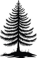 Fototapeta premium Simple Elegant Larch Tree