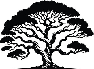 Madrone tree silhouette