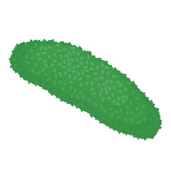 丸くて細長い植え込みのイラスト