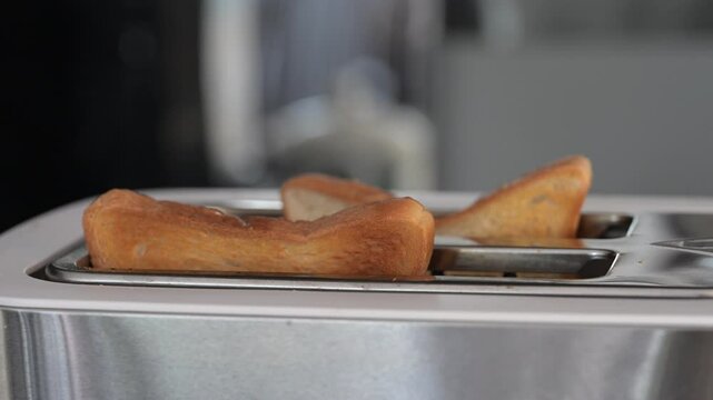 Toasting bread slices jump out from electric toaster browning bread slices, transforming soft bread into golden crispy breakfast delicacy while preparing morning meal. Slow motion footage