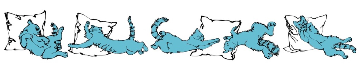 Set of pet blue cats in different poses with pillows isolated on white background, made in vector. Horizontal composition.