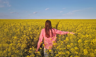 Fototapeta premium Rear view aesthetic young woman walks a pathway across the rapeseed field with yellow flowers stretching towards the horizon. Girl steps gently amidst the blooms, adding charm to the picturesque scene