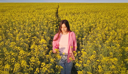 Fototapeta premium Aesthetic young woman walks a footpath across the rapeseed field with beautiful yellow flowers. Girl touches gently the blooms with her hands on a stroll under the clear blue sky