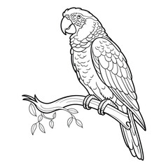 Fototapeta premium Parrot perched on branche Coloring Page, Silhouette, Vector, Illustration, Icon, Logo, White Background.