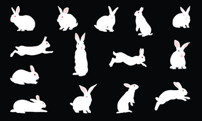 Cute white rabbit set, rodent mammal. Vector illustration.