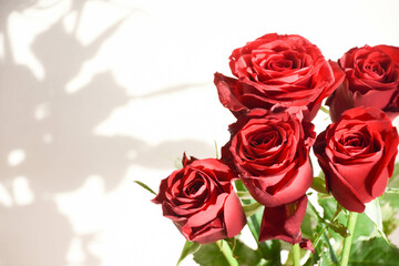 Obraz premium 赤いばら