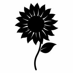 sunflower on black background