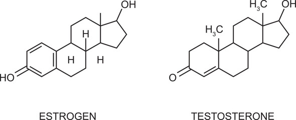 Testosterone and estradiol icons. Chemical molecular structure. Steroid male female sex hormone signs isolated on white background.
