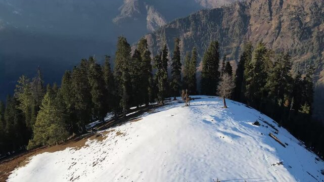 Winter Wonderland in Jibhi, Himachal Pradesh - Snowy Mountain View