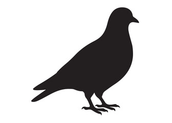 pigeon logo silhouette vector, beautiful dove bird logo icon vector, pigeon bird logo silhouette, silhouette of a pigeon logo icon vector of a pigeon design on white background