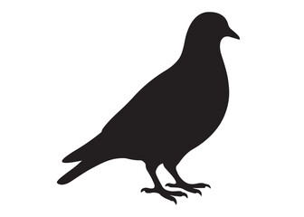 pigeon logo silhouette vector, beautiful dove bird logo icon vector, pigeon bird logo silhouette, silhouette of a pigeon logo icon vector of a pigeon design on white background