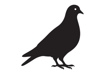 pigeon logo silhouette vector, beautiful dove bird logo icon vector, pigeon bird logo silhouette, silhouette of a pigeon logo icon vector of a pigeon design on white background