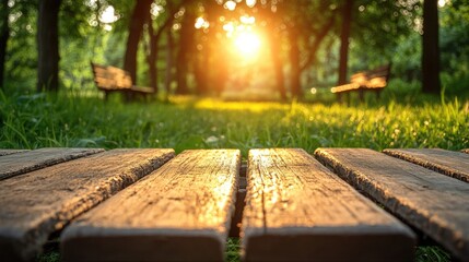 Wooden park bench table top in a lush green setting, sunlit.