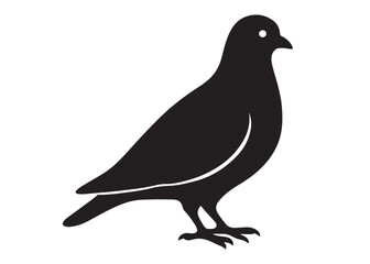 pigeon logo silhouette vector, beautiful dove bird logo icon vector, pigeon bird logo silhouette, silhouette of a pigeon logo icon vector of a pigeon design on white background
