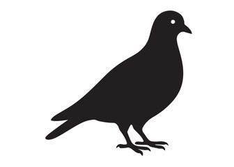 pigeon logo silhouette vector, beautiful dove bird logo icon vector, pigeon bird logo silhouette, silhouette of a pigeon logo icon vector of a pigeon design on white background