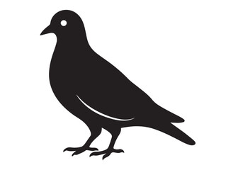pigeon logo silhouette vector, beautiful dove bird logo icon vector, pigeon bird logo silhouette, silhouette of a pigeon logo icon vector of a pigeon design on white background