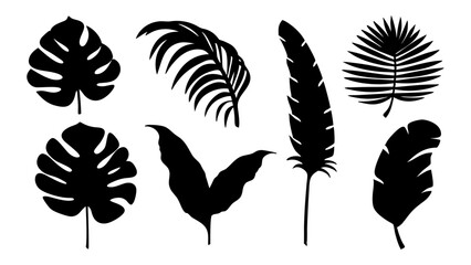 Set of palm leaves silhouettes isolated on white background.