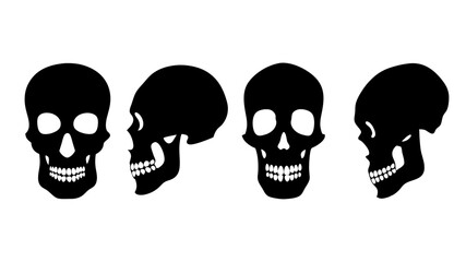 Skull Silhouette
