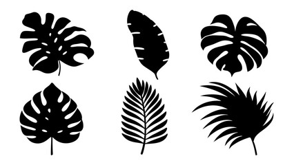 Set of palm leaves silhouettes isolated on white background.